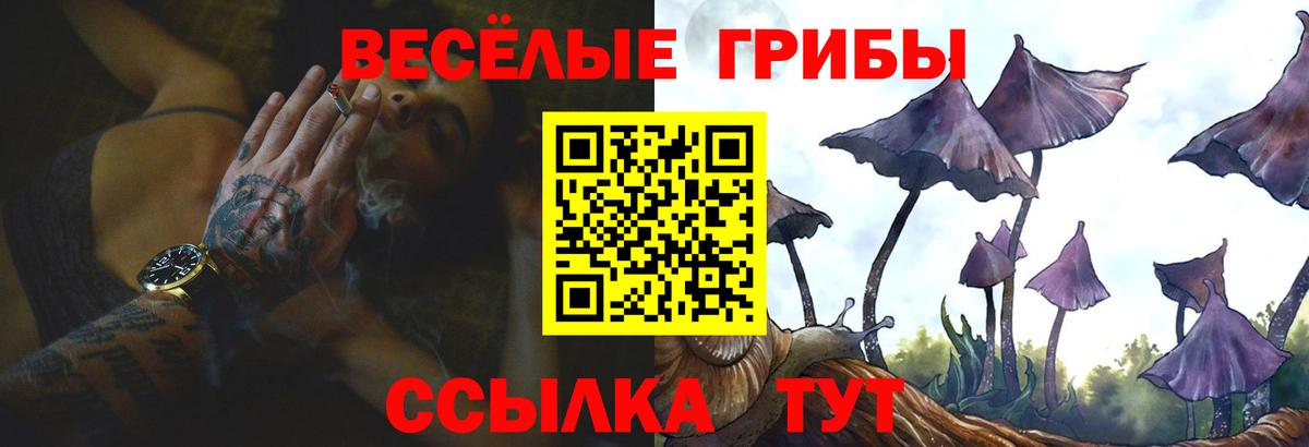 Галлюциногенные грибы мухоморы Борисоглебск